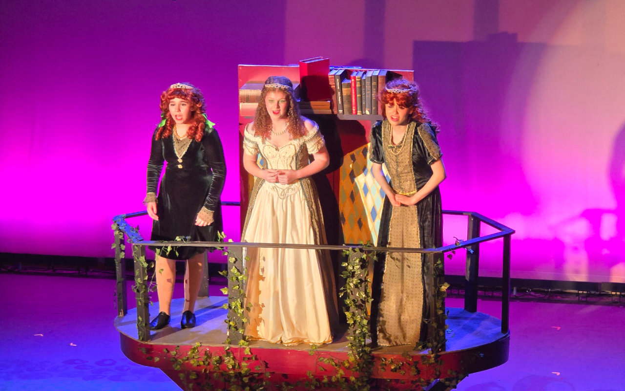 Photo from Shrek The Musical