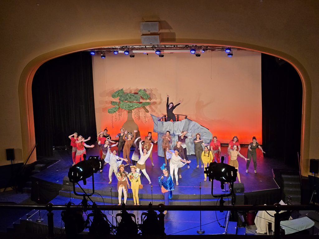 Photo of The Lion King Jr