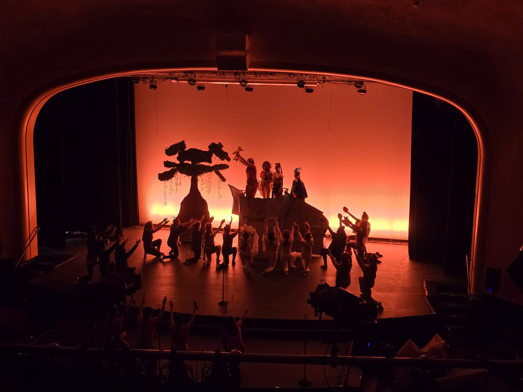Photo of The Lion King Jr
